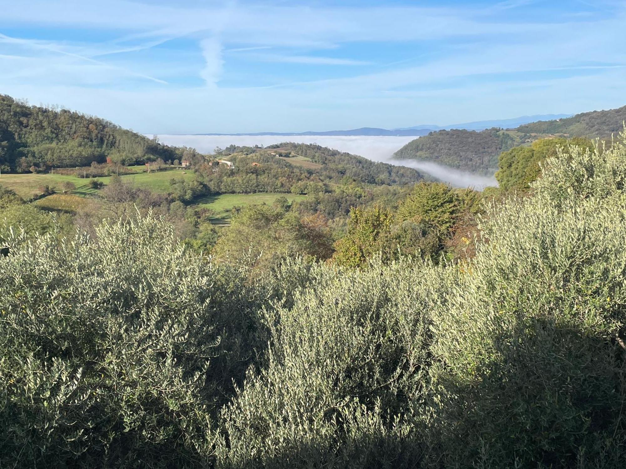 Agriturismo Ai Gradoni Teolo Εξωτερικό φωτογραφία